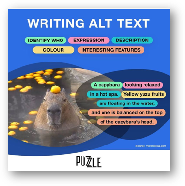 An infographic titled “Writing Alt Text” featuring a photo of a capybara. Parts of alt text are divided by color, including identify who, expression, description, colour, and interesting features. The finished description reads “A capybara looking relaxed in a hot spa. Yellow yuzu fruits are floating in the water, and one is balanced on the top of the capybara’s head.