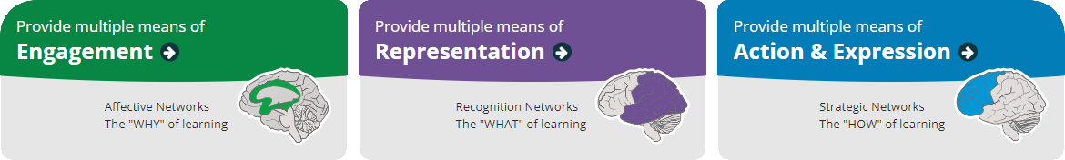 cast udl principles including engagement, representation, action & expression