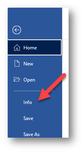 Screenshot Info menu highlighted