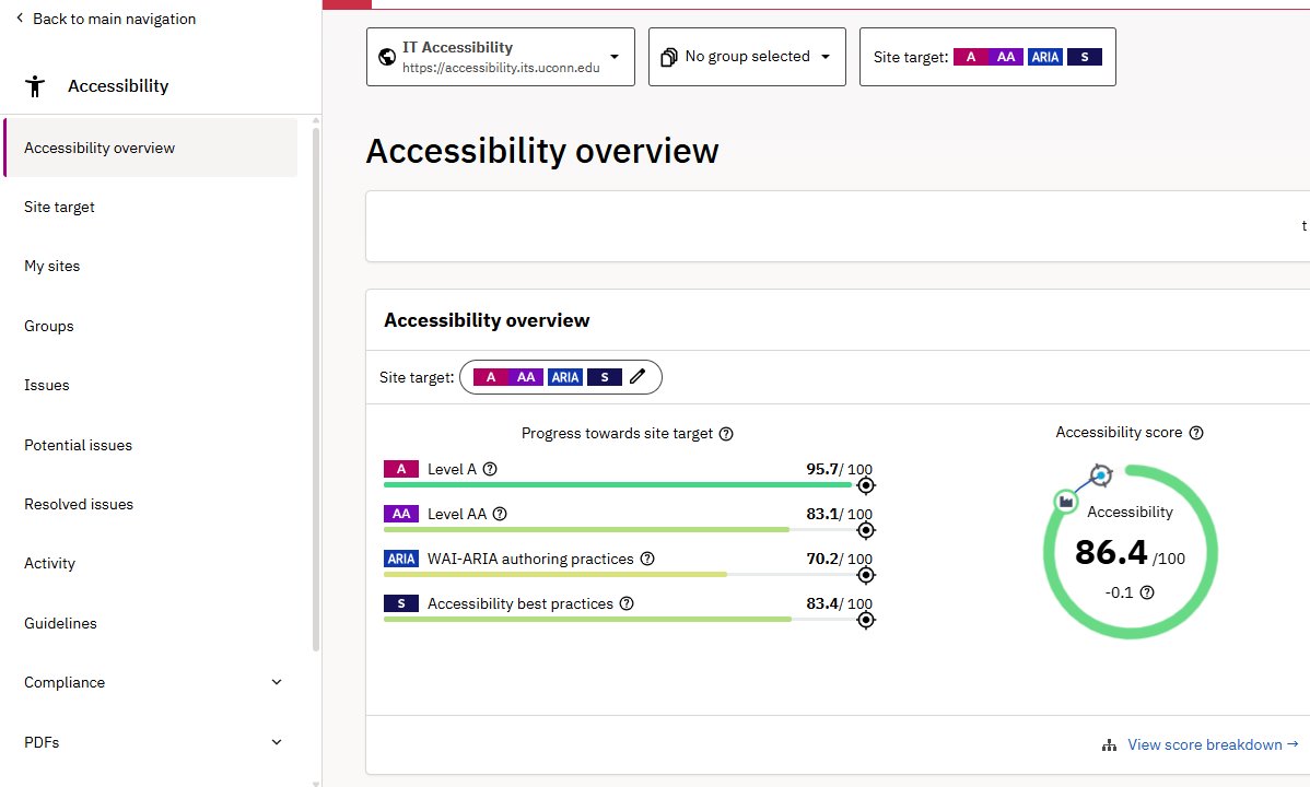 A screenshot of the Accessibility Overview tab in Siteimprove containing the score and details.